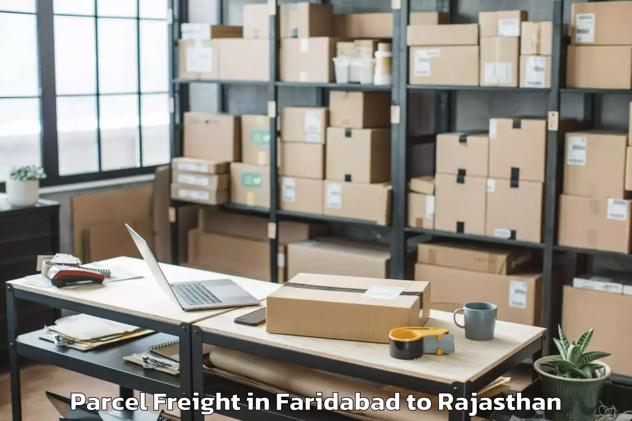 Quality Faridabad to Bayana Parcel Freight